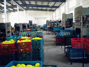 China Fabricante de juguetes para perros con pelotas de goma proveedor