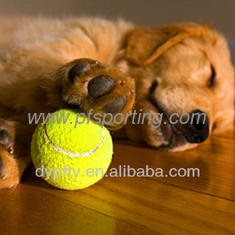 China pelota de tenis variedad de colores proveedor