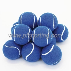 China pelota azul para mascotas proveedor
