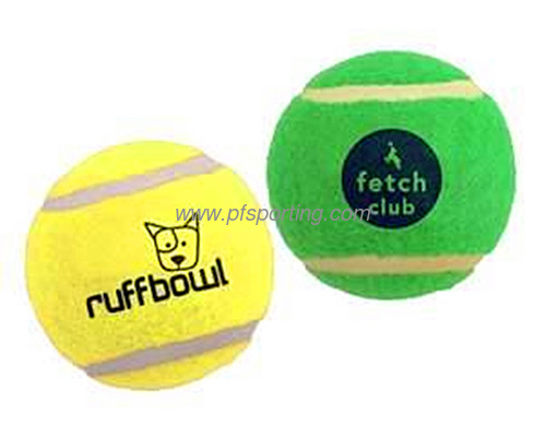 Pelota de juguete inflable de ganancia de 9,5 pulgadas proveedor