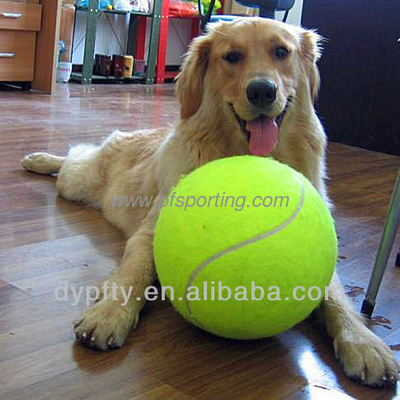 bola inflable gigante en el interior proveedor