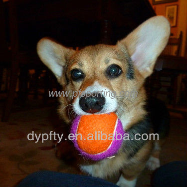 Pelota de tenis de goma para mascotas proveedor