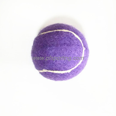 Juguetes para perros con bolas chirriantes de 2,5 pulgadas proveedor