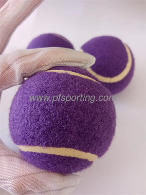 Pelota de tenis chirriante para mascotas moradas con juguete para perros con pelota de tenis chirriadora proveedor